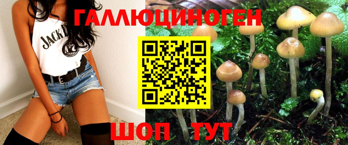 Псилоцибиновые грибы прущие грибы  Вход с VPN  Псилоцибиновые грибы ЛСД  Камень-на-Оби 